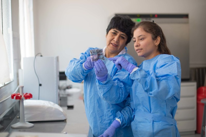 Diferencias entre una maestría y un doctorado, talentos del Pronabec te explican 