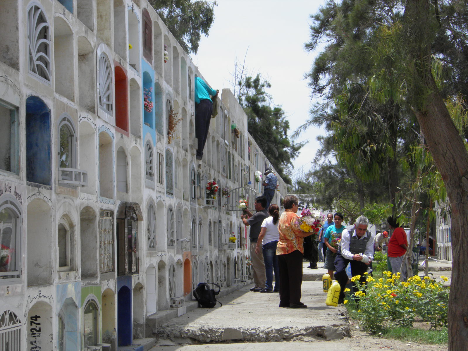 Chimbote: trabajos de fumigación no se ejecutaron en el "Divino Maestro"