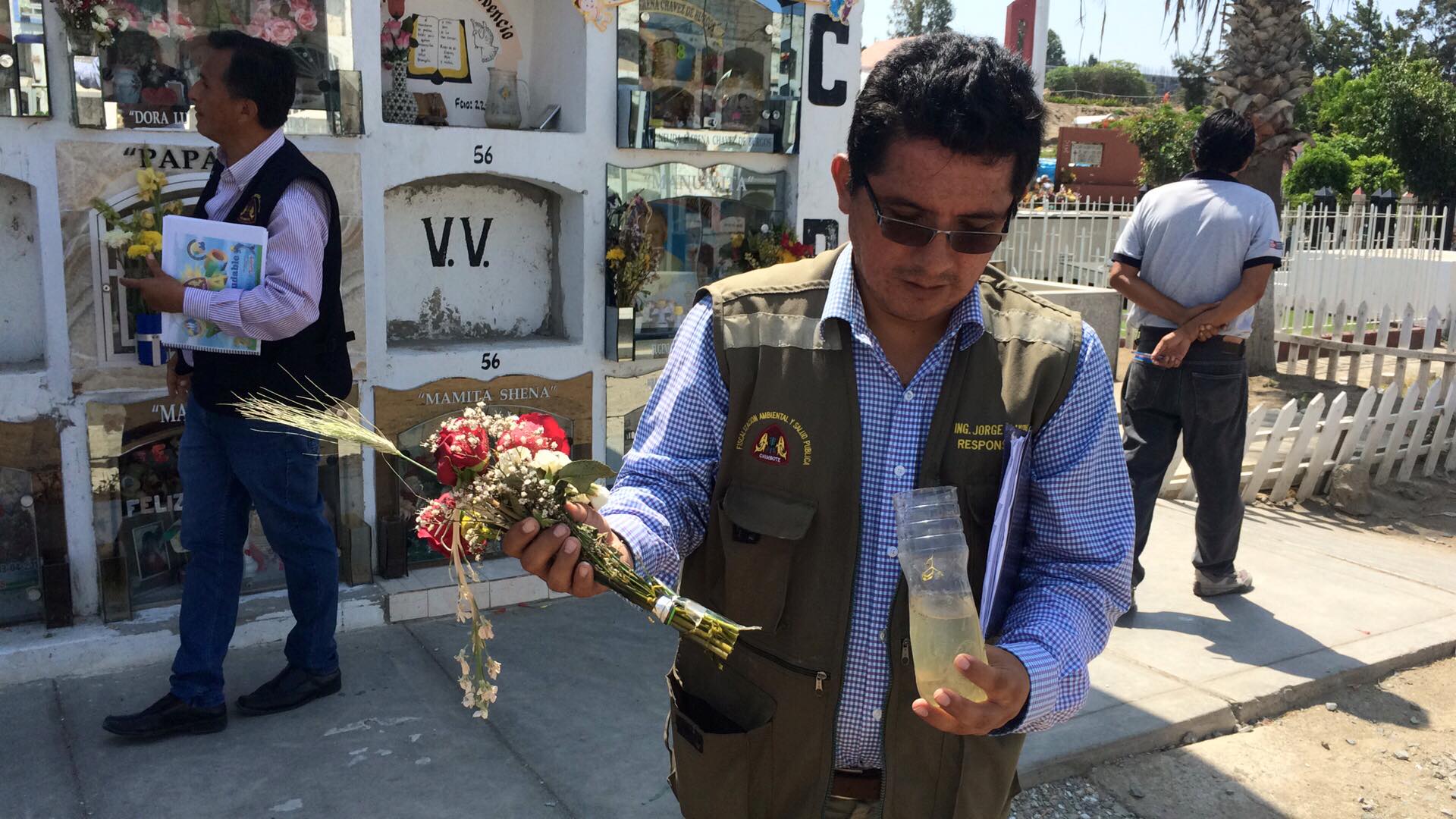 Cementerio de Chimbote es foco de proliferación del mosquito transmisor del dengue, zika y chikungunya