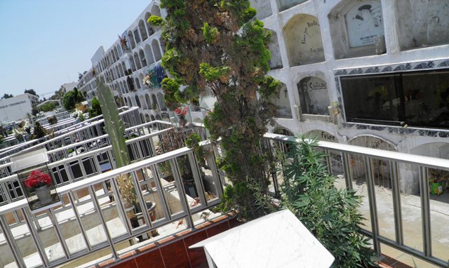 Chimbote: siembran marihuana hasta en cementerio