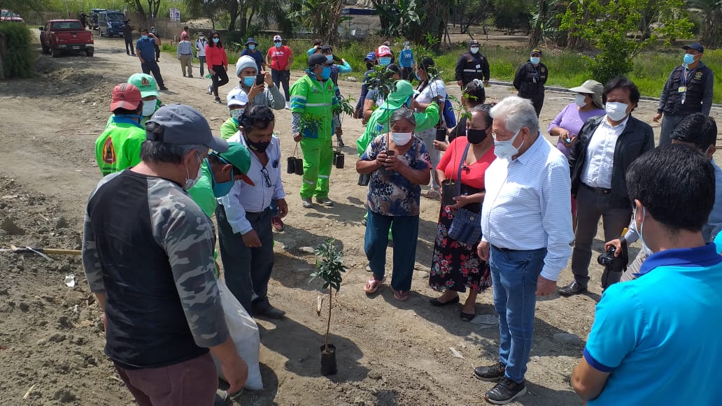Siembran 300 molles como cerco vivo para proteger sitio arqueológico Pañamarca en Nepeña