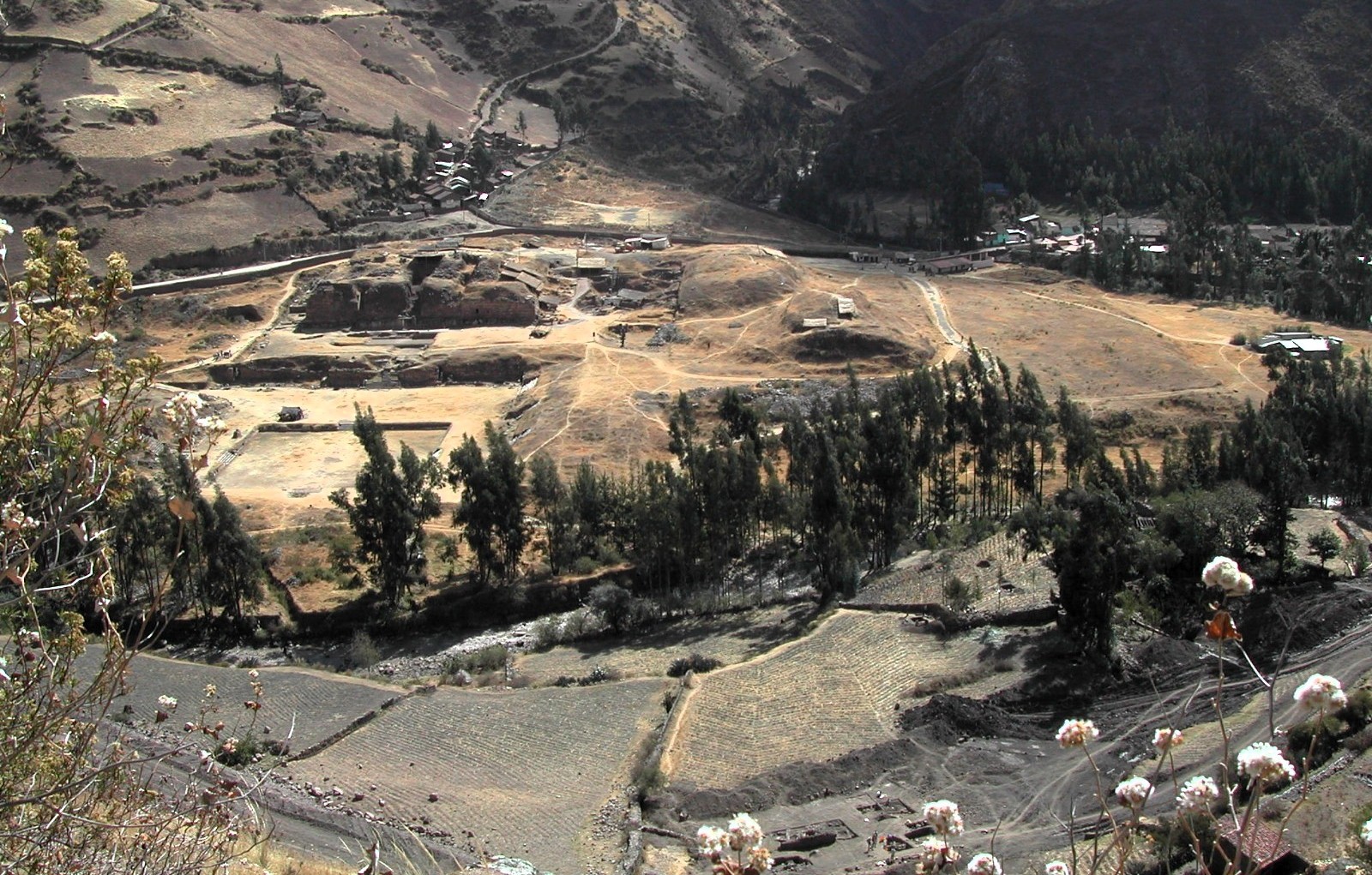 Hallazgo arqueológico en Chavín de Huántar revela uso ritual de plantas psicoactivas hace más de 2,800 años