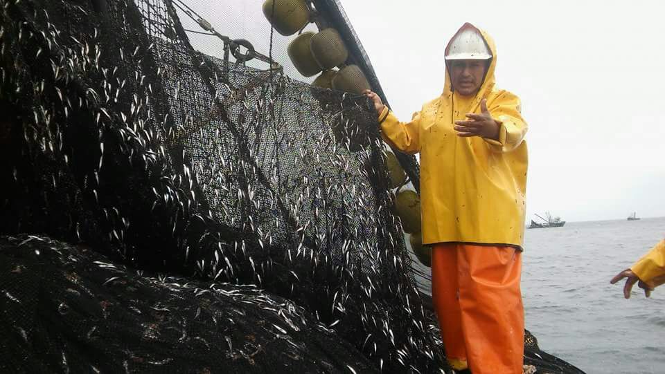 Chimbote: Exigen suspensión de segunda temporada de pesca porque se estaría depredando el mar