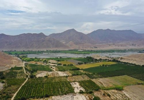 Presentan avances del Proyecto Chinecas y del proceso de formalización de tierras