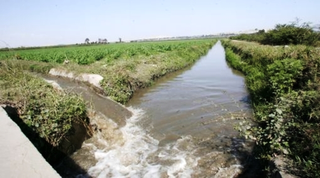 Chinecas anuncia firma de convenio con empresa avícola trujillana para realizar labores científicas