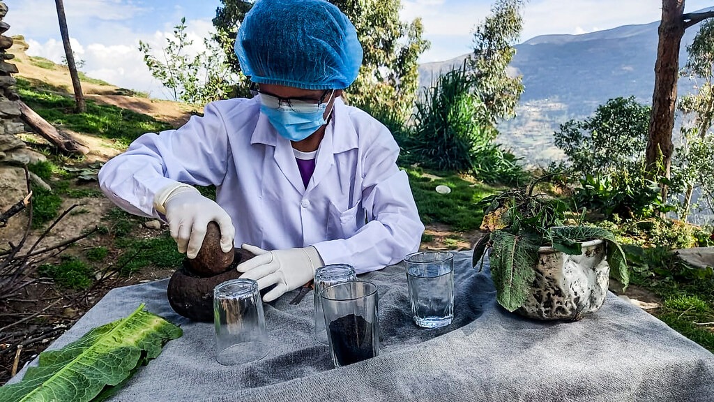 Estados Unidos ofrece becas para jóvenes emprendedores peruanos  