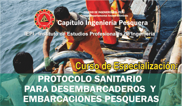Colegio de Ingenieros de Chimbote realiza curso para sector pesquero