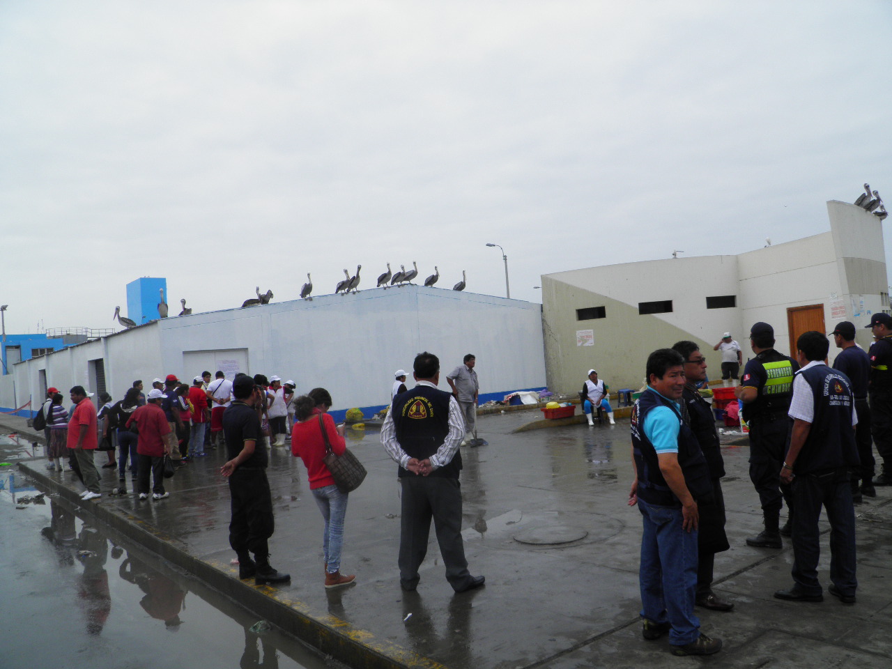Chimbote: Comerciantes de pescados y mariscos fueron desalojados por ocupar vía pública