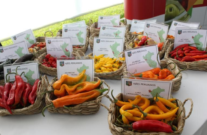 Cada peruano consume más de 4 kilos de ajíes al año