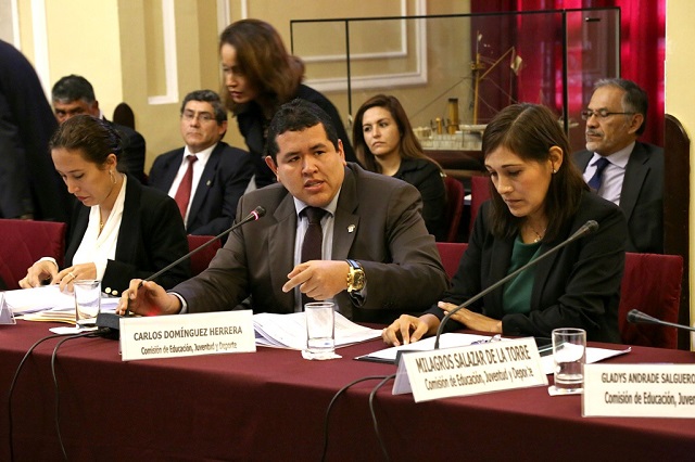 Congresista Domínguez formaliza pedido para crear Autoridad Autónoma de Proyecto Especial Chinecas