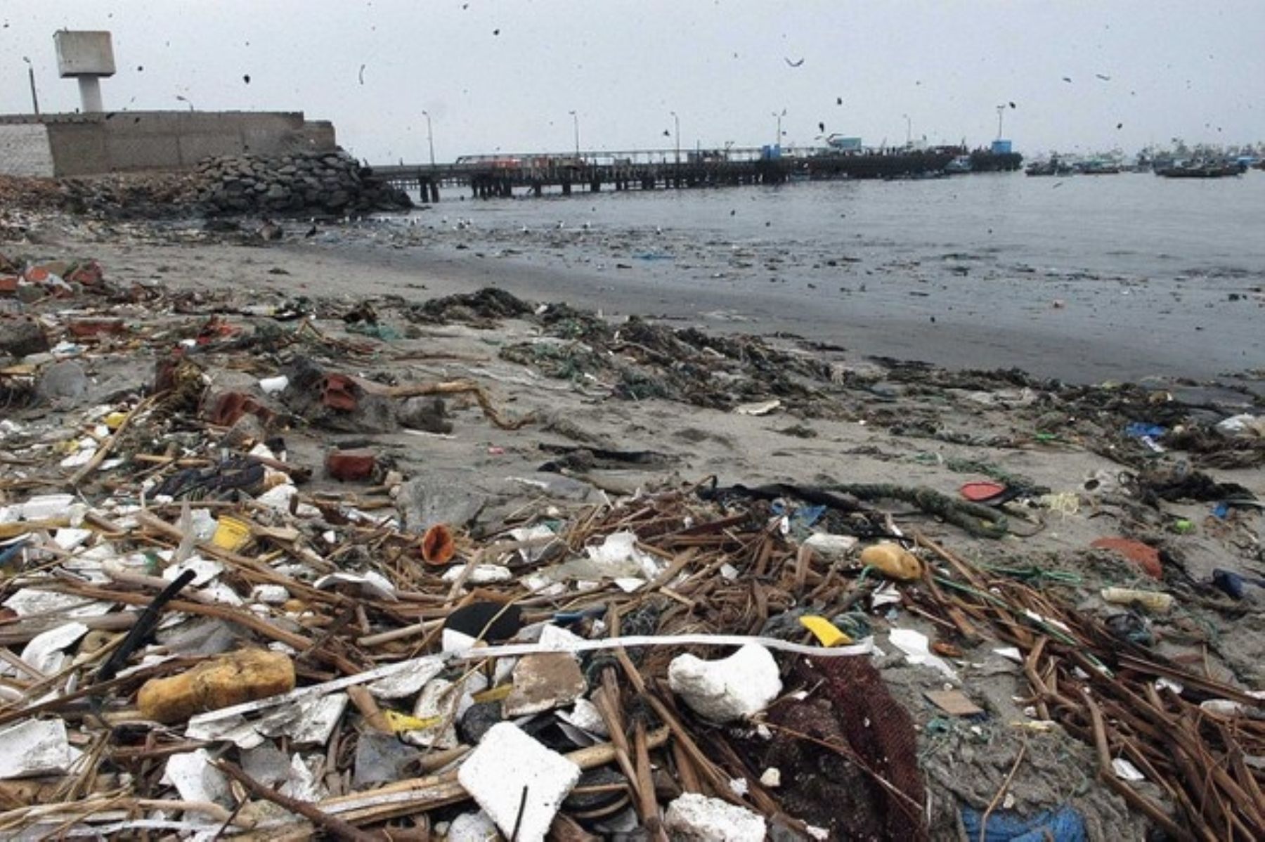 Chimbote: se fortalece recuperación ambiental de la bahía El Ferrol
