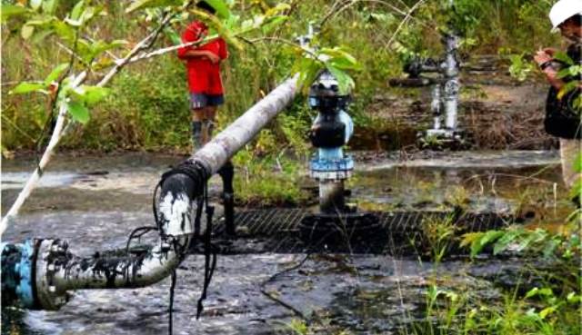  Contaminación y pasivos ambientales por hidrocarburos en la Amazonía