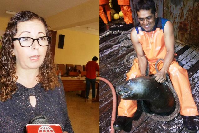 Chimbotanos piden sanción contra pescador por maltratar y humillar a lobo marino