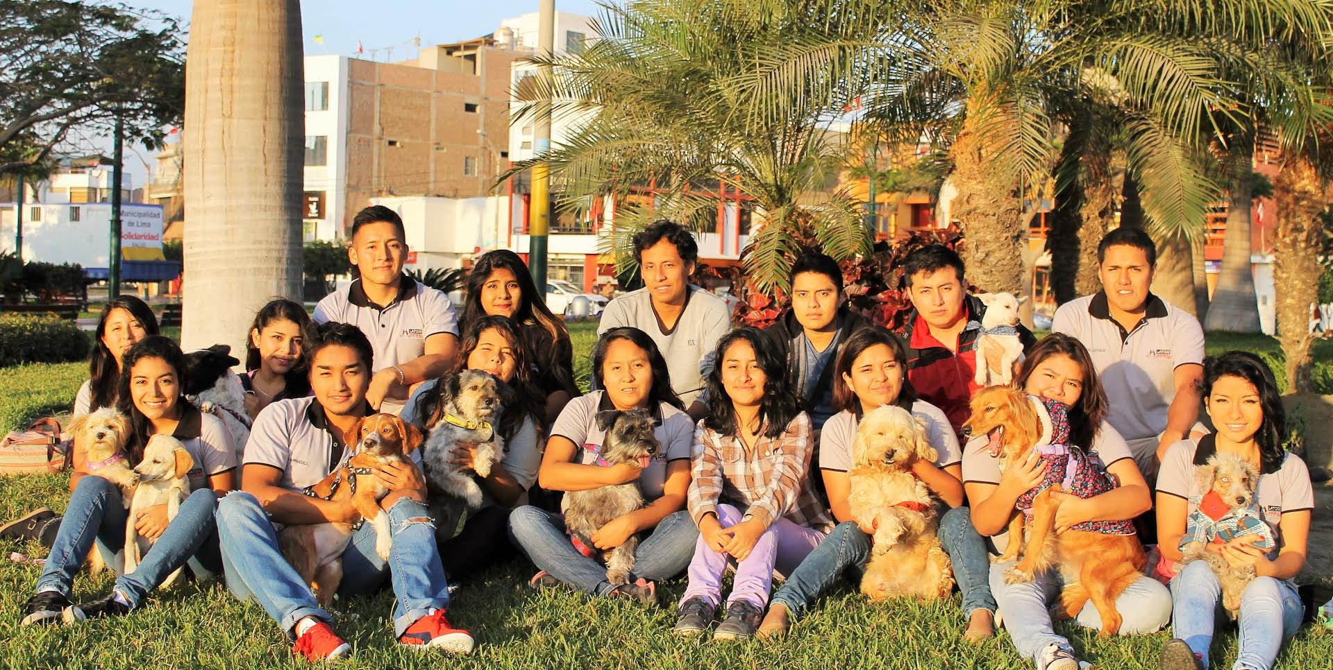 Convocan a voluntarios animalistas en Chimbote y promueven adopciones