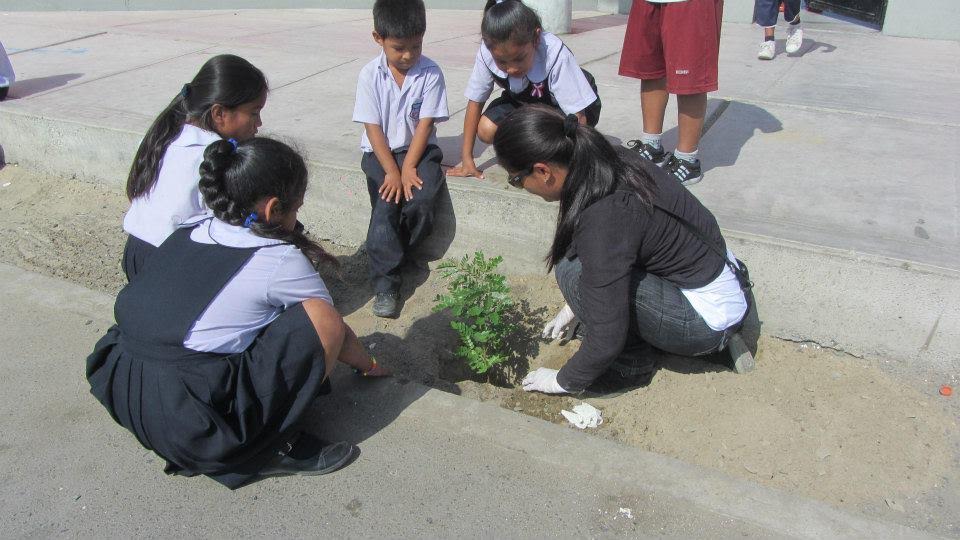 Cuidemos la creación de Dios