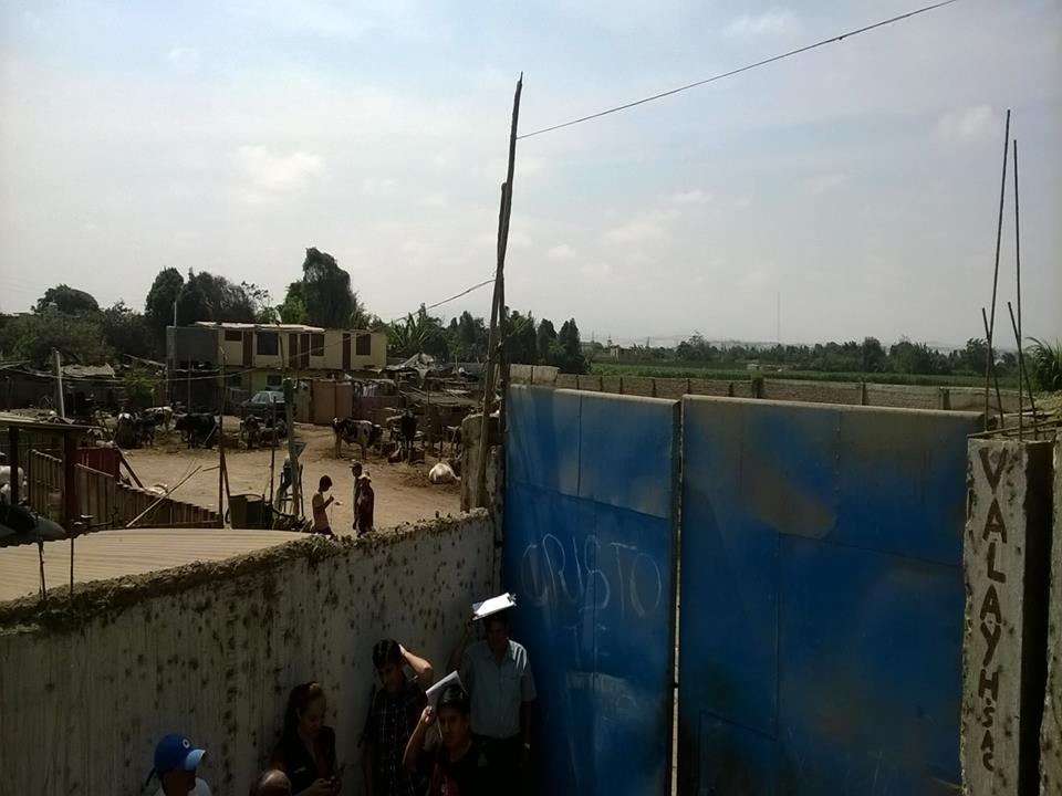 Santa: intervienen criadero clandestino de cerdos y reces 