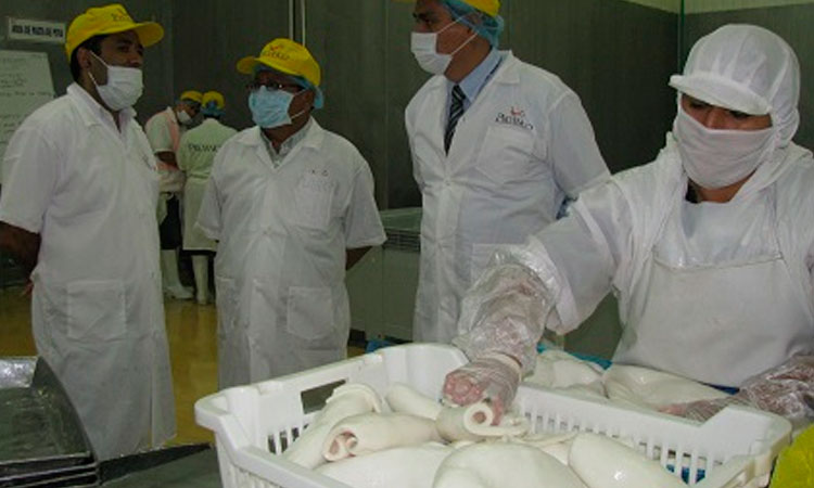 Exportaciones peruanas cerrarían el 2020 con una caída de -18% informó Adex