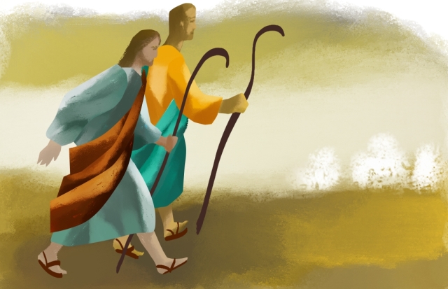 Reflexión: “Enviados como corderos en medio de lobos”