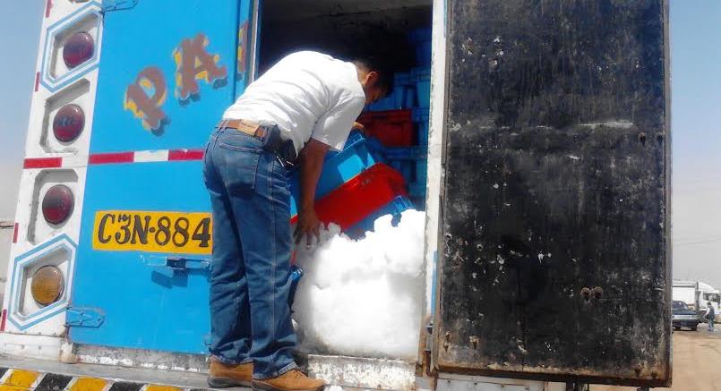 Decomisan 30 toneladas de pota pescada ilegalmente   