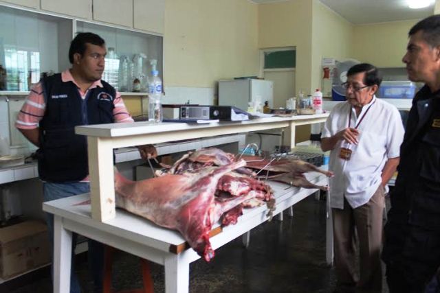 Incautan 30 kilos de carne de dudosa procedencia en dos mercados de Chimbote