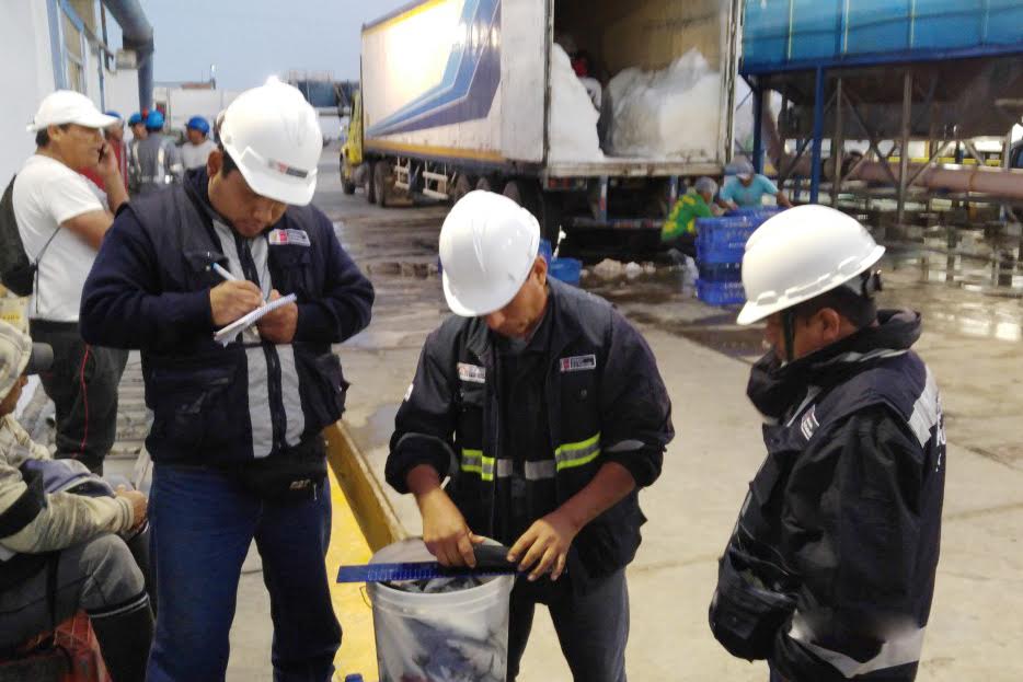 Chimbote: Produce decomisó cerca de mil toneladas de caballa en Áncash, Ica y Lima