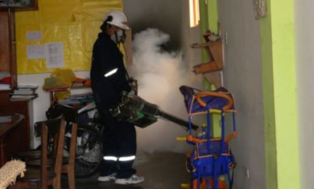Coishco: Encuentran larvas del temido dengue en 8 viviendas