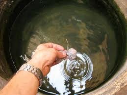  Intensificarán acciones de prevención contra el dengue y el chikungunya