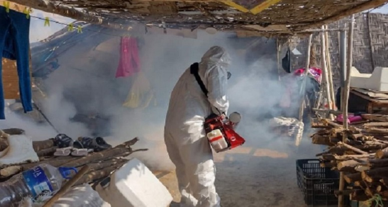 Minsa confirma tres casos de dengue en la provincia de Casma