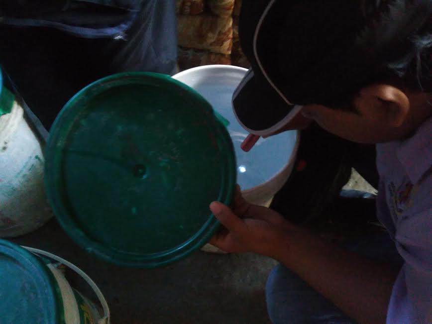 Reportan 56 casos confirmados de dengue en el distrito de Coishco 