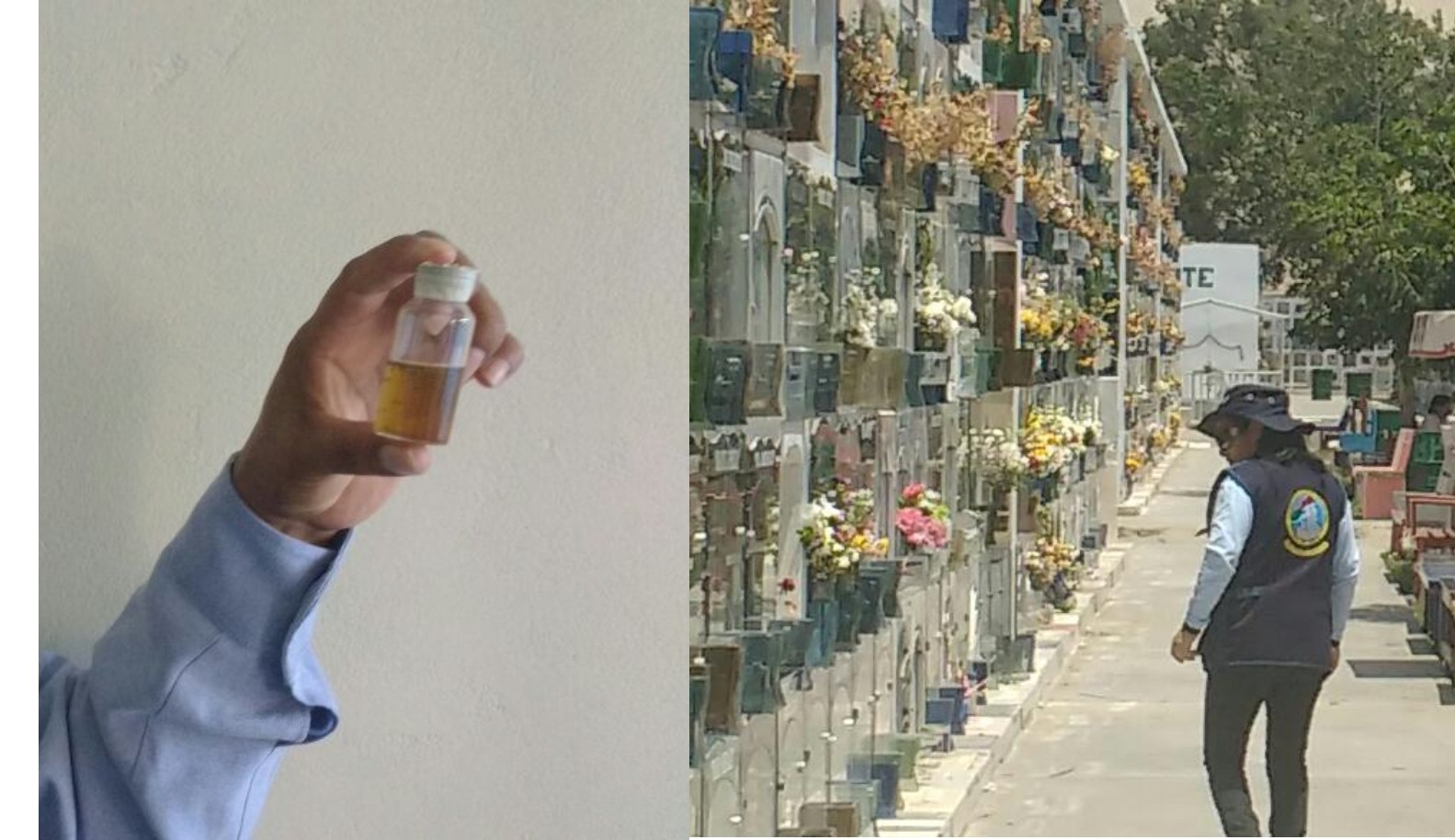 Vigilan presencia de zancudo del ‘dengue’ en cementerio Divino Maestro de Chimbote