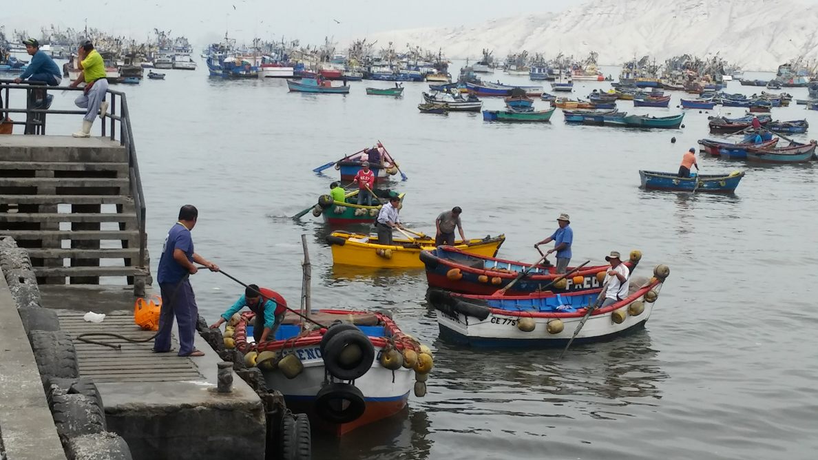 Denuncian presuntos abusos de Produce en desembarcadero artesanal de Chimbote