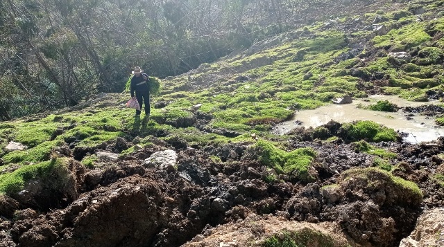 Deslizamiento afecta poblado en la sierra de Áncash, arrasó con cultivos y postes de energía 