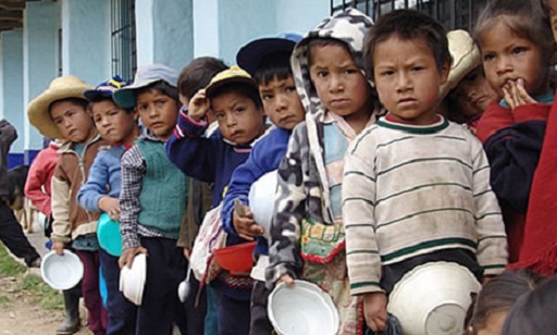 Desnutrición y anemia en el Perú: la lucha continua
