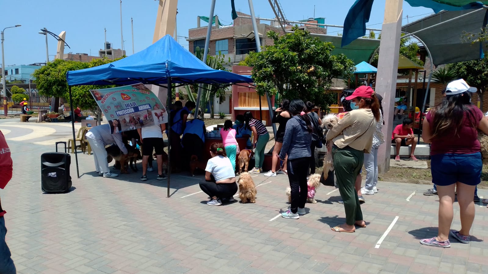 Chimbote: municipio desparasitará a 2,000 mascotas durante campañas gratuitas 