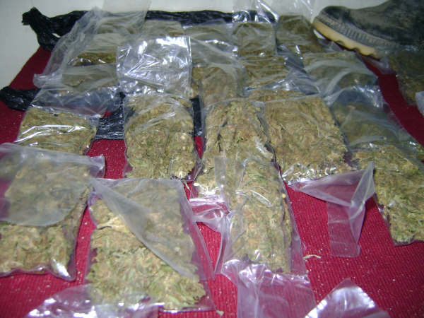 Dan nueve meses de prisión preventiva para acusado de comercialización de marihuana en Coishco