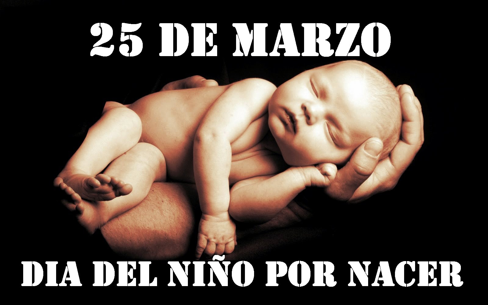 "Nadie puede justificar la muerte de un inocente": Día del Niño por Nacer