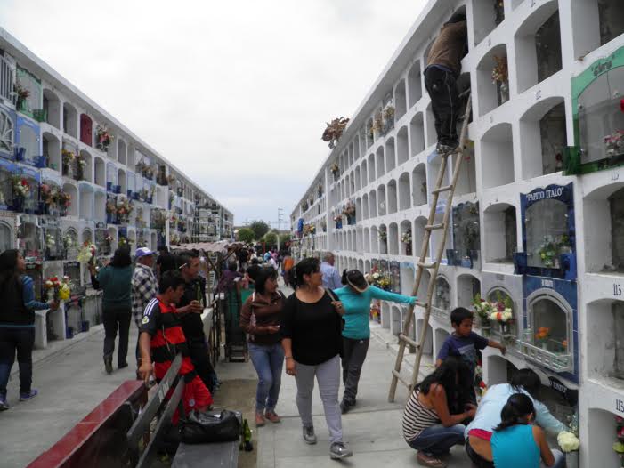 Chimbote: realizarán trabajos de fumigación por plaga de zancudos en “Divino Maestro”