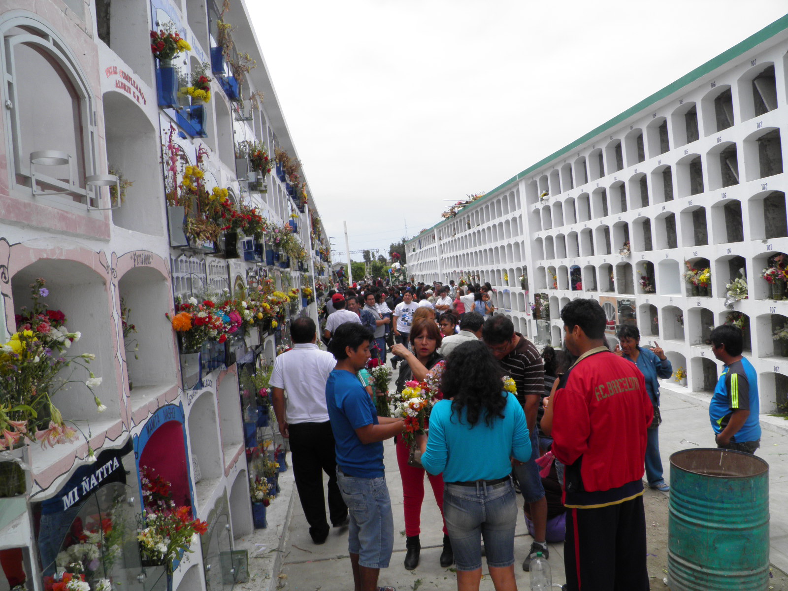 Chimbote: este jueves inician trabajos de fumigación en el “Divino Maestro”