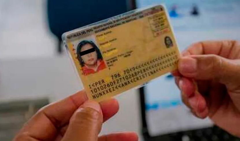 Reniec alerta que 78 mil electores mayores de edad aún tienen DNI amarillo