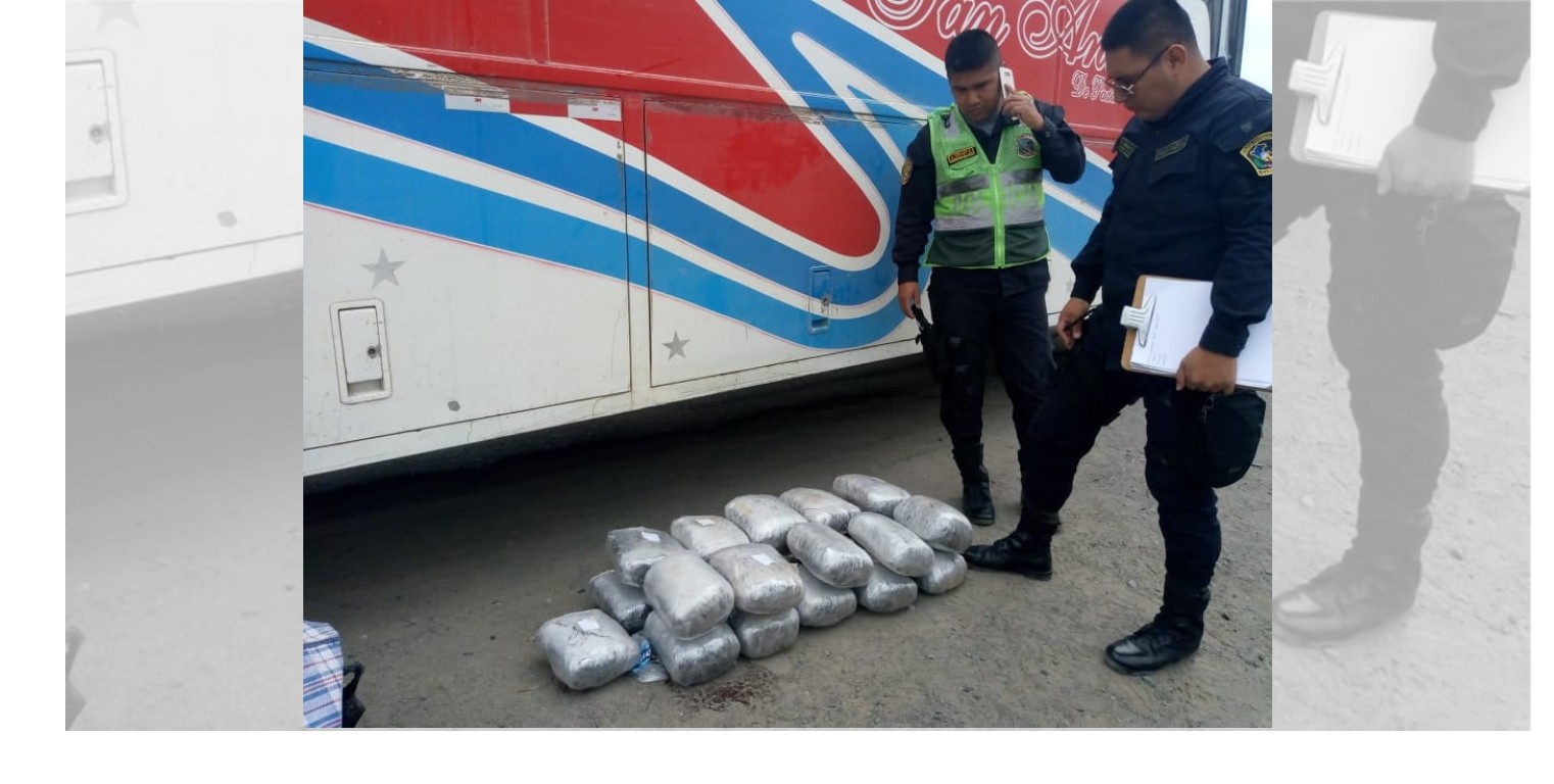 Nuevo Chimbote: intervienen bus con más de 20 paquetes de marihuana