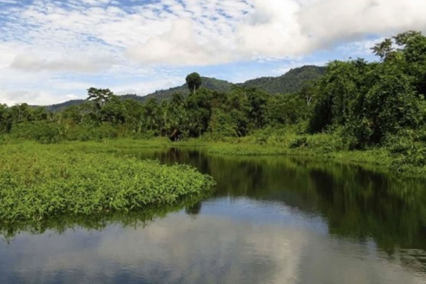 El Perú fortalece su acción climática en beneficio de la protección los ecosistemas y la ciudadanía