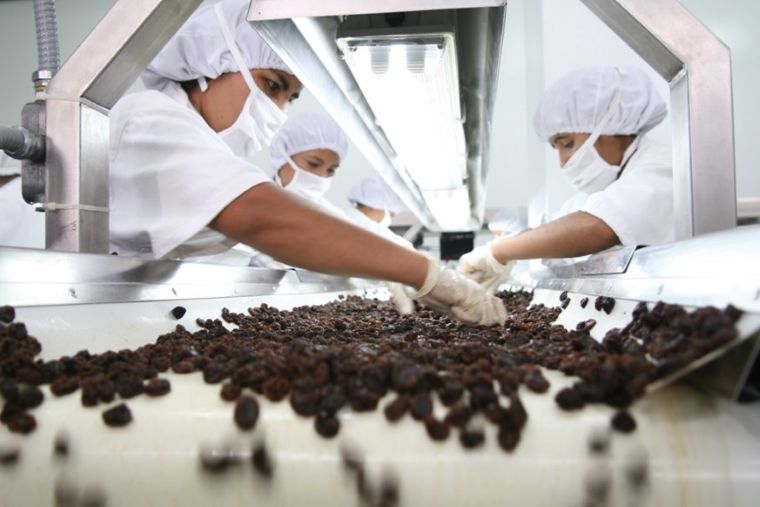 Adex: se incrementó en 5.4% número de empresas exportadoras