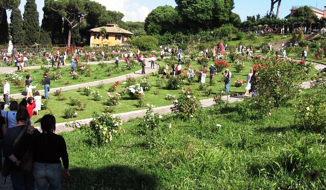 Antiguo cementerio judío es ahora el jardín de rosas en Roma (video)