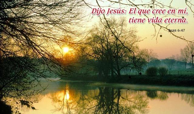 El que cree tendrá vida