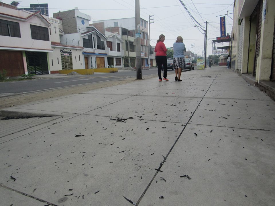 Chimbote: unos 15 pueblos afectados por el hollín que cubrió calles y viviendas tras incendio forestal