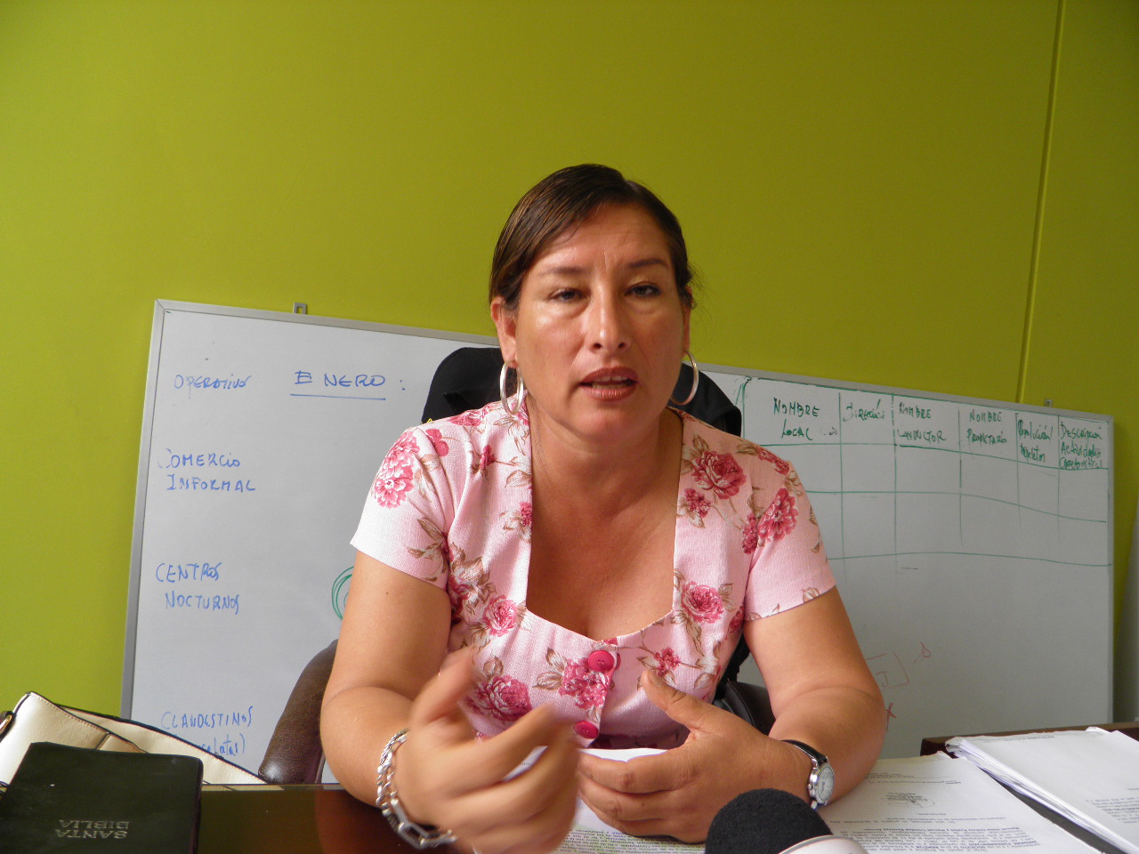 Partidos políticos persisten en colocar propaganda en espacios prohibidos en Chimbote