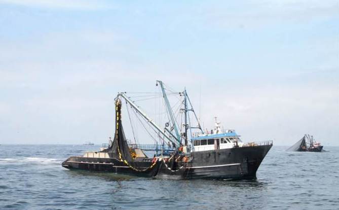 Produce autoriza pesca exploratoria de bacalao de profundidad bajo el sistema de pesca centinela