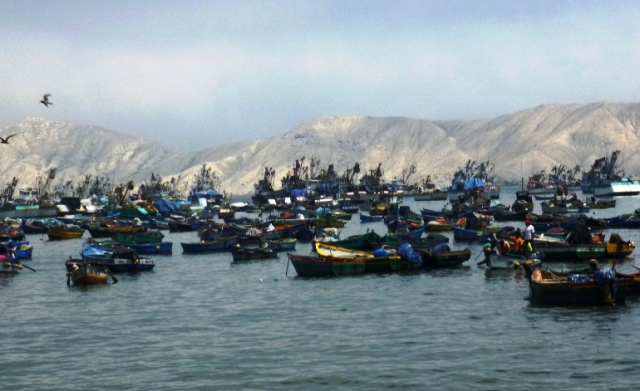 Crisis en el sector pesquero se agudiza por escasez de anchoveta