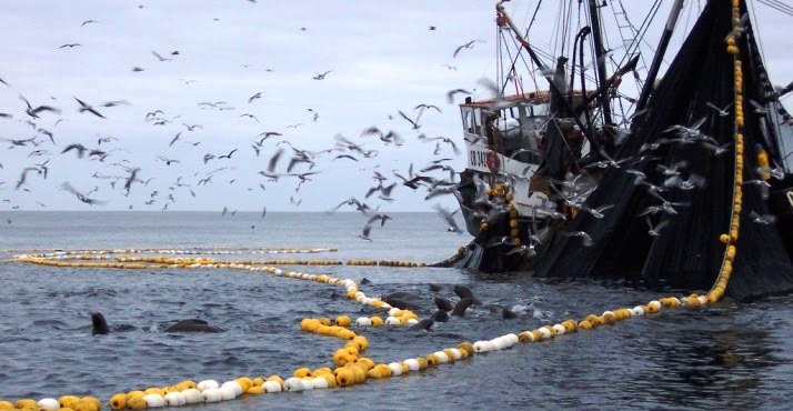  Áncash: Este 17 de mayo 400 embarcaciones industriales salen a la mar