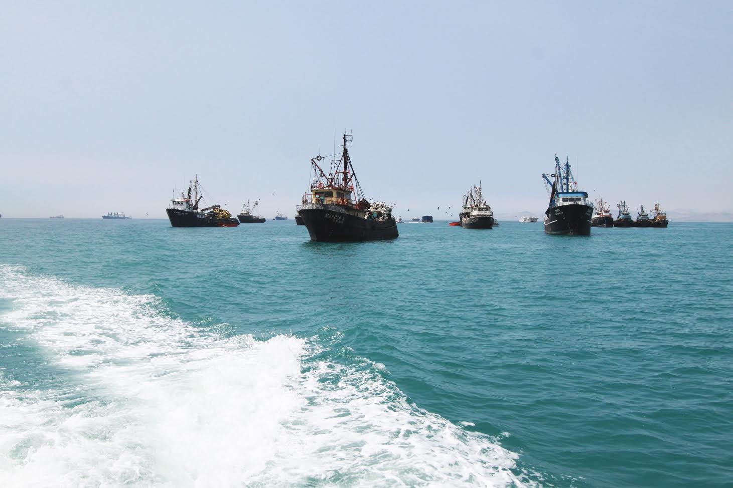  Sector pesquero vuelve a generar crecimiento de la economía peruana